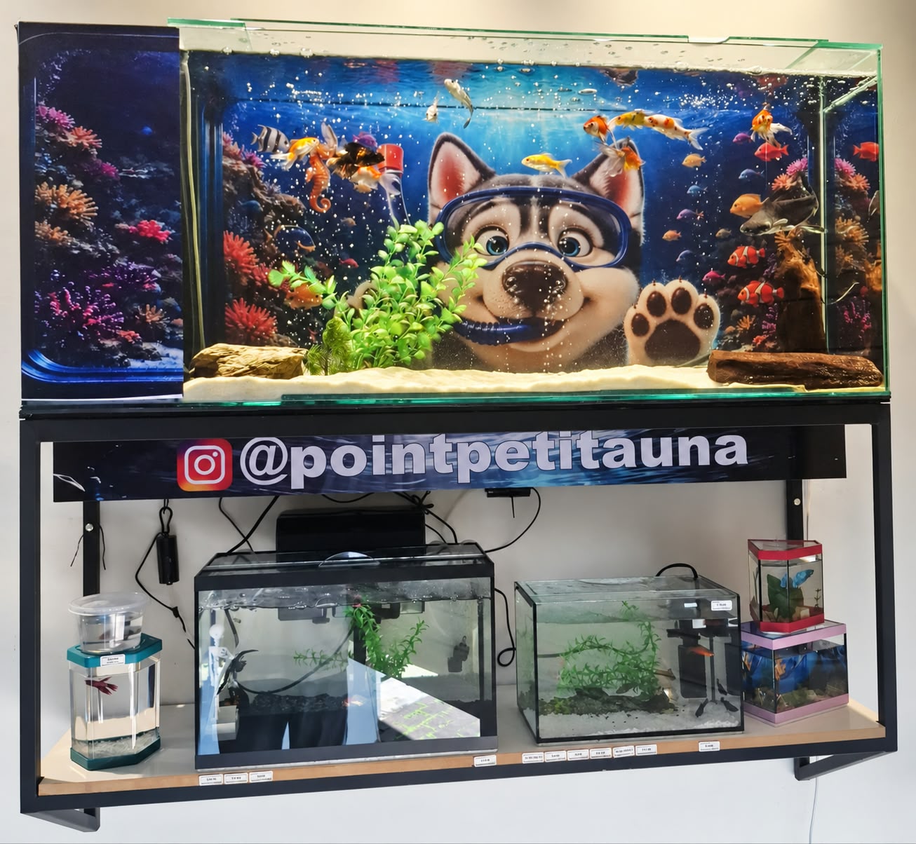 Aquários e peixes disponíveis na Point Pet