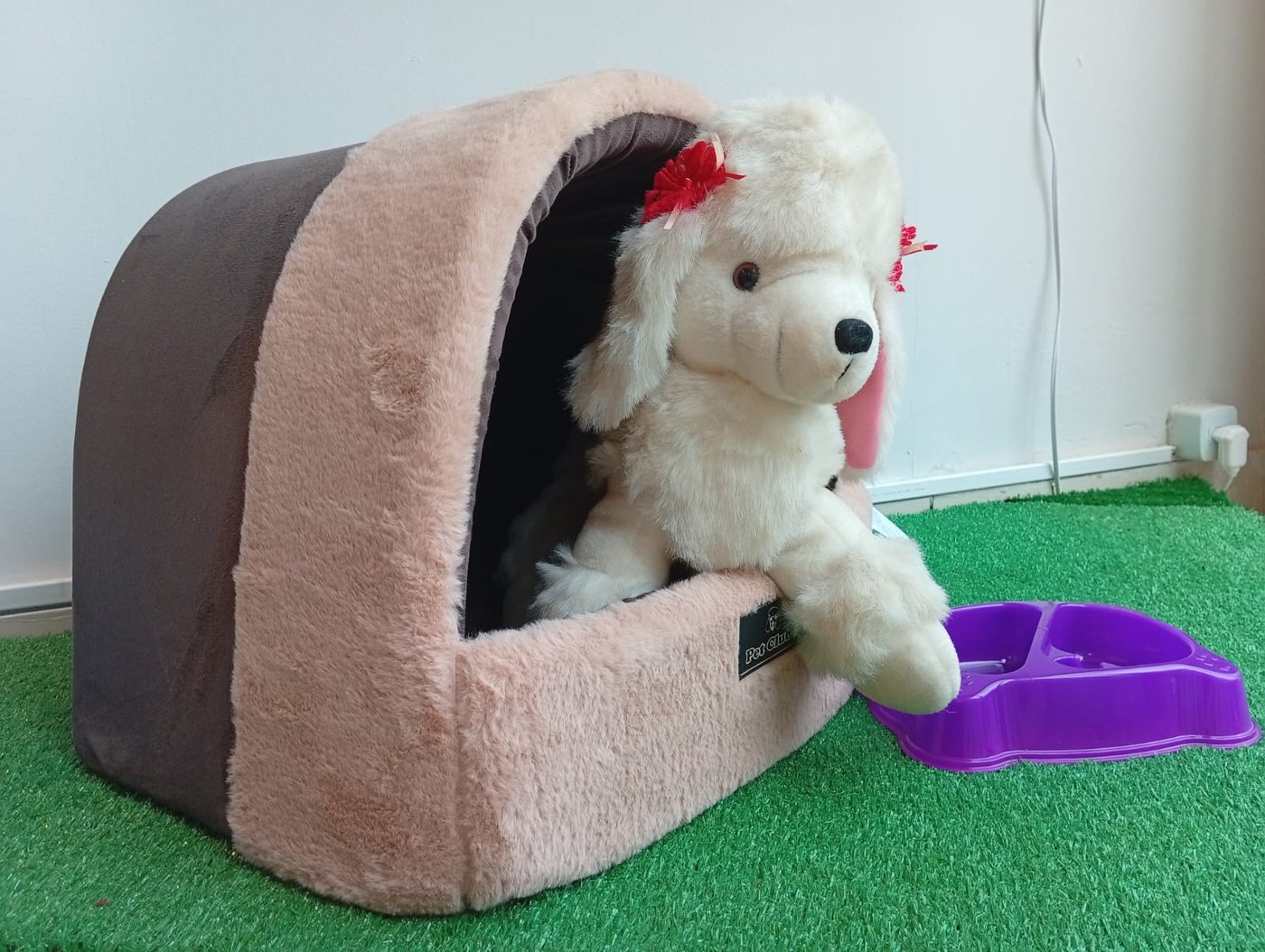 Caminhas e cabaninhas para pets na Point Pet